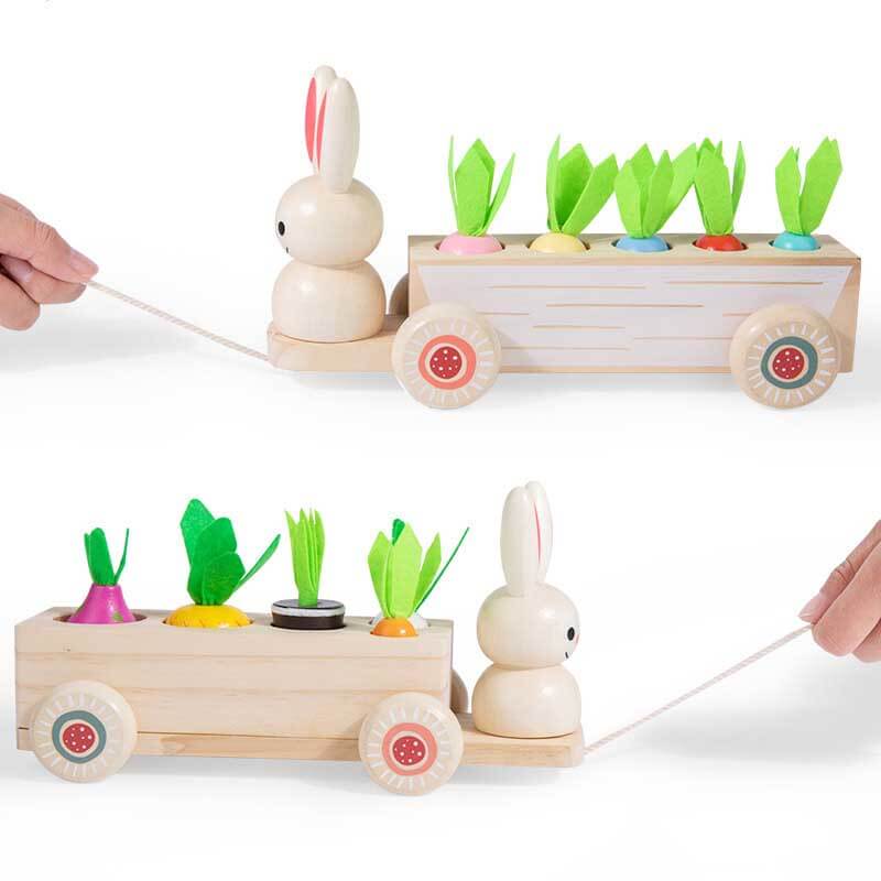 Carrot Pulling Rabbit Trailer