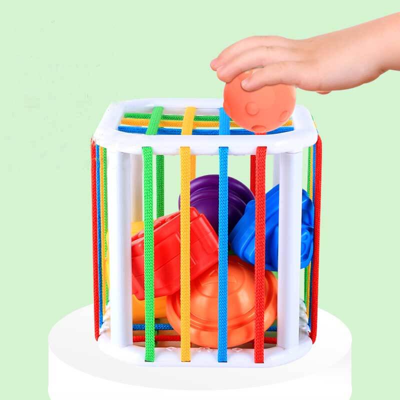 Rainbow Shape/Color Sorter Game