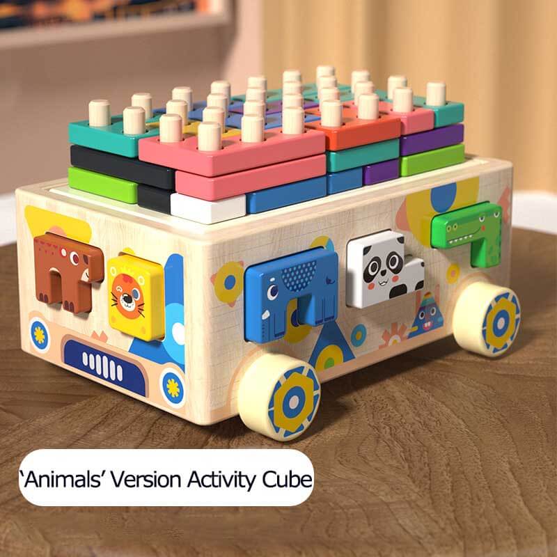 Montessori Wooden Activity Cube