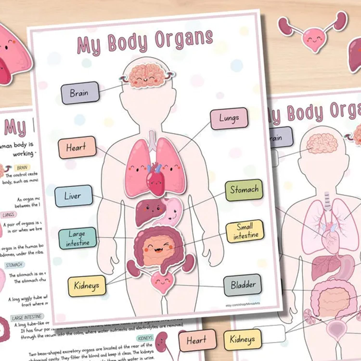 🔥HOT SALE 49%OFF🎁Body Organs Busy Book For Kids