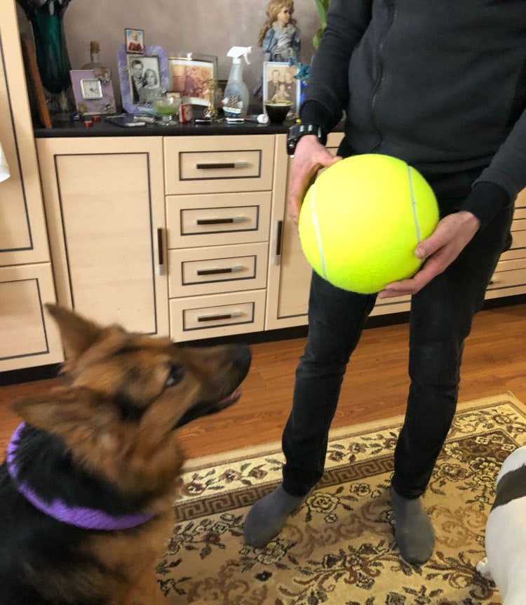 🔥New Monster Tennis Ball