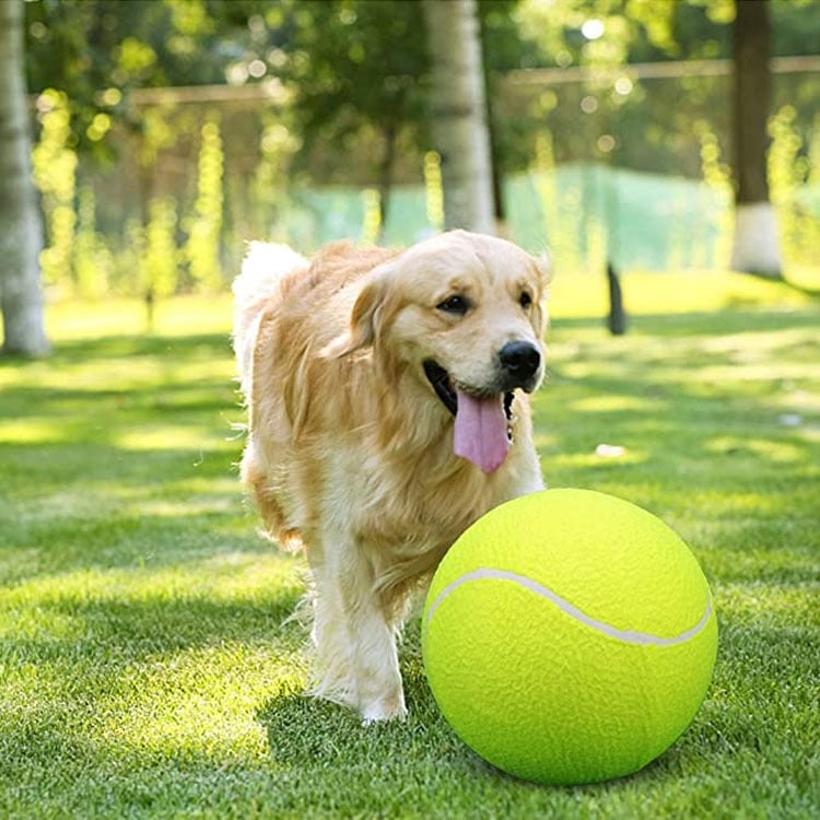 🔥New Monster Tennis Ball